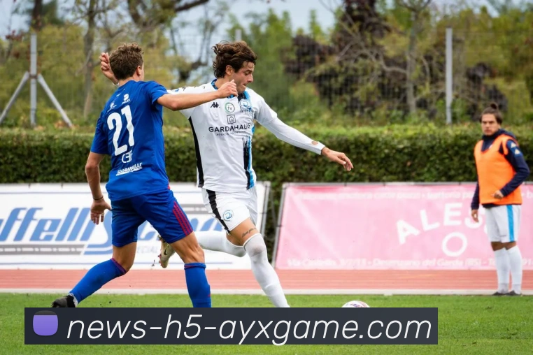 爱游戏平台生态图